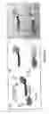 Fig. 02 - FLUORESCENT PROCHELATORS FOR CELLULAR IRON DETECTION