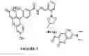 Fig. 03 - FLUORESCENT PROCHELATORS FOR CELLULAR IRON DETECTION