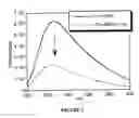 Fig. 04 - FLUORESCENT PROCHELATORS FOR CELLULAR IRON DETECTION