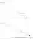 Fig. 197 -  Conjugation of  Peptides