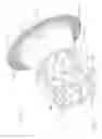 Fig. 07 - METHOD OF MANUFACTURING A UNITARY VENTURI