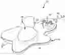 Fig. 01 - PET TOY