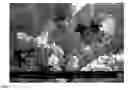 Fig. 02 - Synthesis of zeolites from fly ash