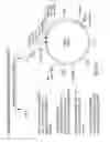 Fig. 04 - Compositions and methods for detecting Yersinia pestis bacteria