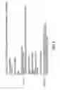 Fig. 06 - Compositions and methods for detecting Yersinia pestis bacteria