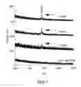 Fig. 08 - Compositions and methods for detecting Yersinia pestis bacteria