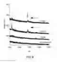 Fig. 09 - Compositions and methods for detecting Yersinia pestis bacteria