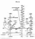 Fig. 10 - pCryptoRNAi
