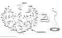 Fig. 01 - METHOD OF MAPPING OF mRNA DISTRIBUTION WITH ATOMIC FORCE MICROSCOPY