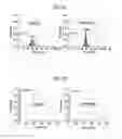 Fig. 09 - METHOD OF MAPPING OF mRNA DISTRIBUTION WITH ATOMIC FORCE MICROSCOPY