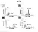 Fig. 22 - METHOD OF MAPPING OF mRNA DISTRIBUTION WITH ATOMIC FORCE MICROSCOPY