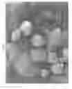 Fig. 04 - Controlled release agricultural products and processes for making the same