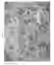 Fig. 05 - Controlled release agricultural products and processes for making the same