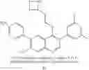 Fig. 53 - Somatostatin Agonists