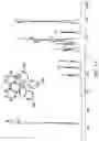 Fig. 02 - Phosphorus-containing compounds and their preparing process and use