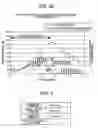 Fig. 05 - Apparatus and method of evaluating vascular endothelial function