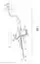 Fig. 02 - Flash activated passive shielding needle assembly
