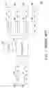 Fig. 02 - Memory access apparatus and display using the same