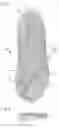 Fig. 02 - Inlay sole for shoes