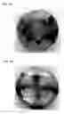 Fig. 06 - METHODS FOR PROCESSING ORNAMENTAL DIAMONDS AND CORRESPONDING ORNAMENTAL DIAMONDS