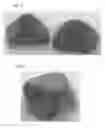 Fig. 07 - METHODS FOR PROCESSING ORNAMENTAL DIAMONDS AND CORRESPONDING ORNAMENTAL DIAMONDS