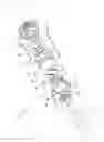 Fig. 06 - Rotation output device