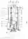 Fig. 05 - Apparatus for Continuously Producing Laminated Confectioneries
