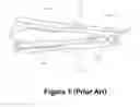 Fig. 02 - Hairdressing device