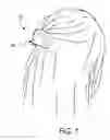 Fig. 02 - HAIR CLIP APPARATUS AND METHOD FOR CONSTRUCTING SAME