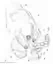 Fig. 03 - Jack element for a drill bit