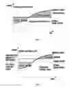 Fig. 02 - Method of compensating for auxiliary loads of hybrid vehicle