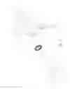 Fig. 04 - Distance limiting self-retractable lifeline