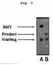 Fig. 04 - METHOD OF PREPARING FLUOROALKYL COMPOUNDS USING RADIATION