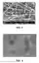 Fig. 02 - Nanowebs