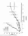 Fig. 02 - Antibodies that bind to EphA2 and methods of use thereof