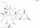 Fig. 596 - 6,11-bridged biaryl macrolides
