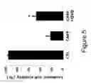 Fig. 06 - Methods for Treating Hematopoietic Neoplasms