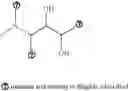 Fig. 97 - Piperidine and morpholine renin inhibitors
