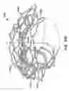 Fig. 46 - Everting heart valve
