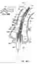 Fig. 51 - Everting heart valve