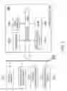 Fig. 03 - SYSTEM AND METHOD FOR VIEWING CHOICES AND MAKING SELECTIONS