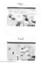 Fig. 02 - PISTON FOR INTERNAL COMBUSTION ENGINE AND PROCESS FOR MANUFACTURING THE SAME