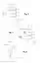 Fig. 03 - Two-phase contactor for starting device for internal combustion engine