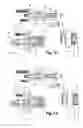 Fig. 08 - Two-phase contactor for starting device for internal combustion engine