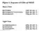 Fig. 02 - Biological products