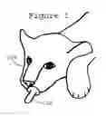 Fig. 02 - Pacifier holder