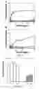 Fig. 04 - Isolated nucleic acid molecule encoding a peptide or peptide analog comprising the SEQ ID No. 3