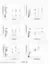 Fig. 09 - Isolated nucleic acid molecule encoding a peptide or peptide analog comprising the SEQ ID No. 3