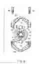 Fig. 11 - SURGICAL OPERATING APPARATUS