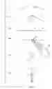 Fig. 07 - Method of stringing beads and article thereof
